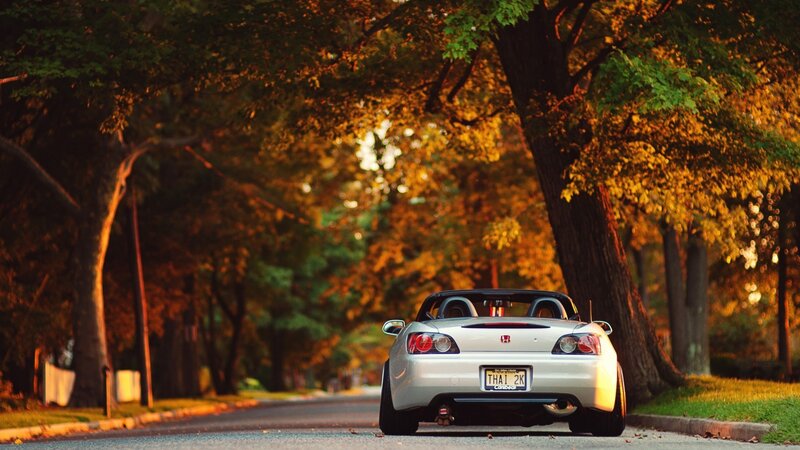 White convertible on a tree-lined road
