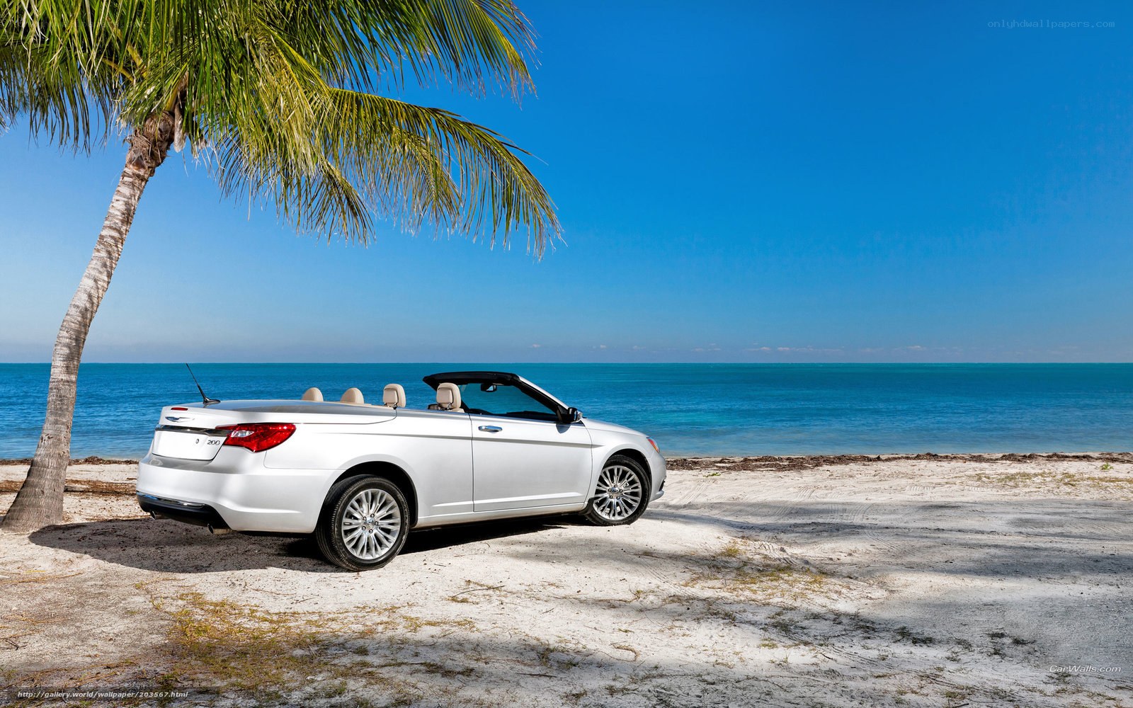 White convertible on tropical beach
