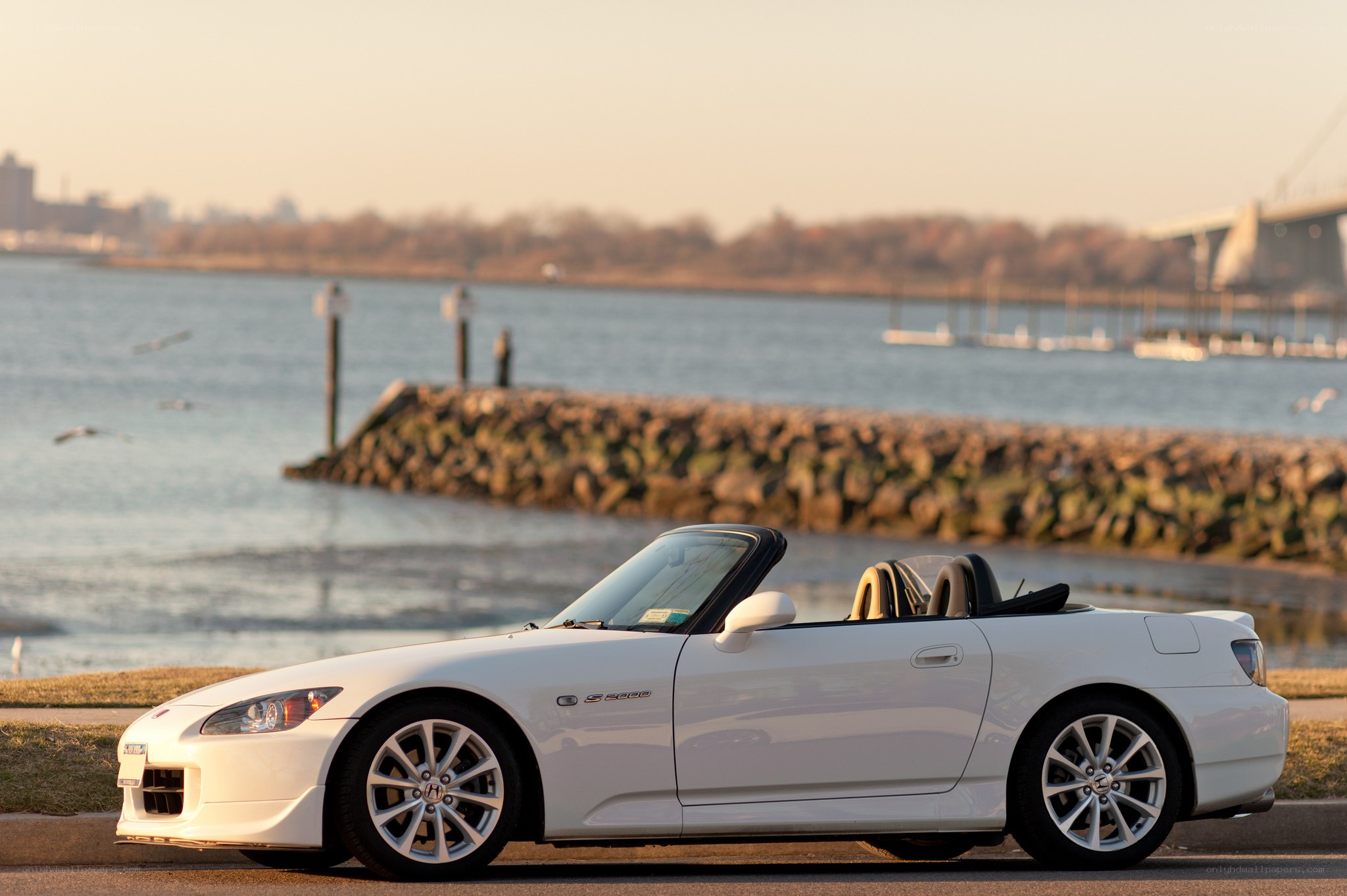 White convertible sports car by the water