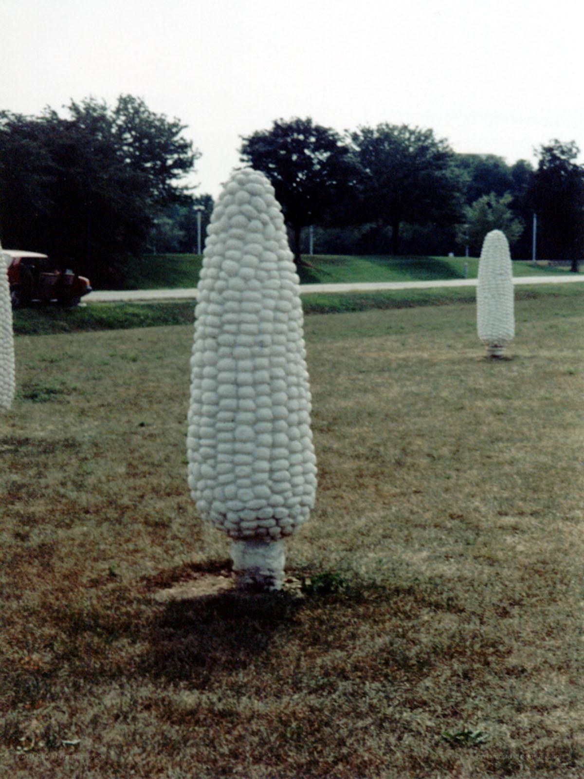 White corn sculptures in a field