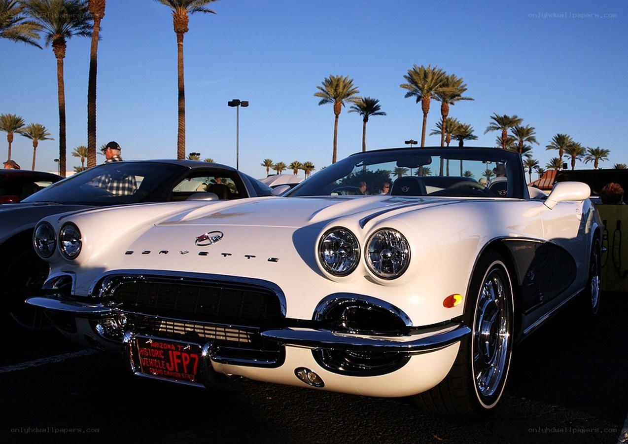 White Corvette at car show
