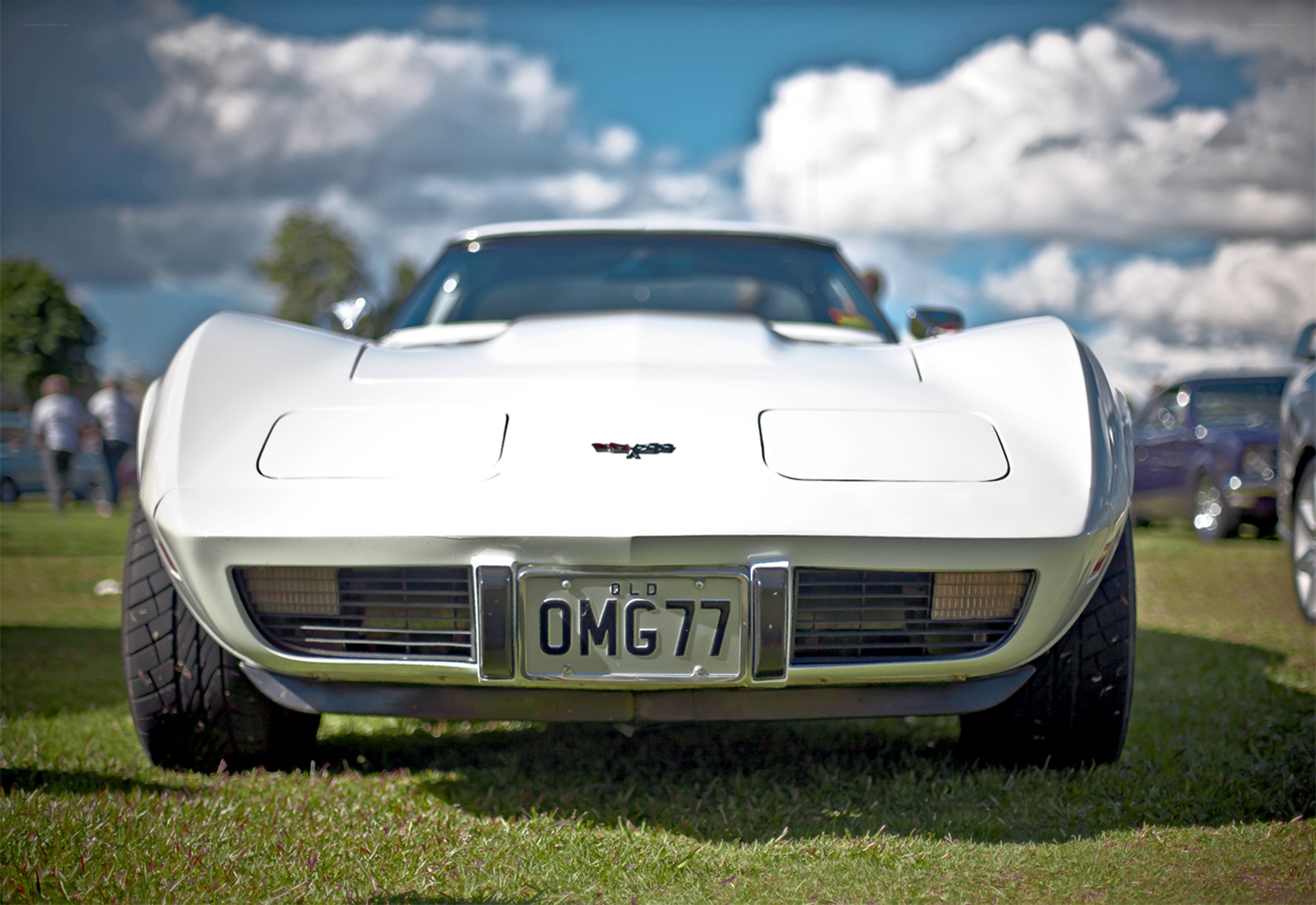 White Corvette at car show
