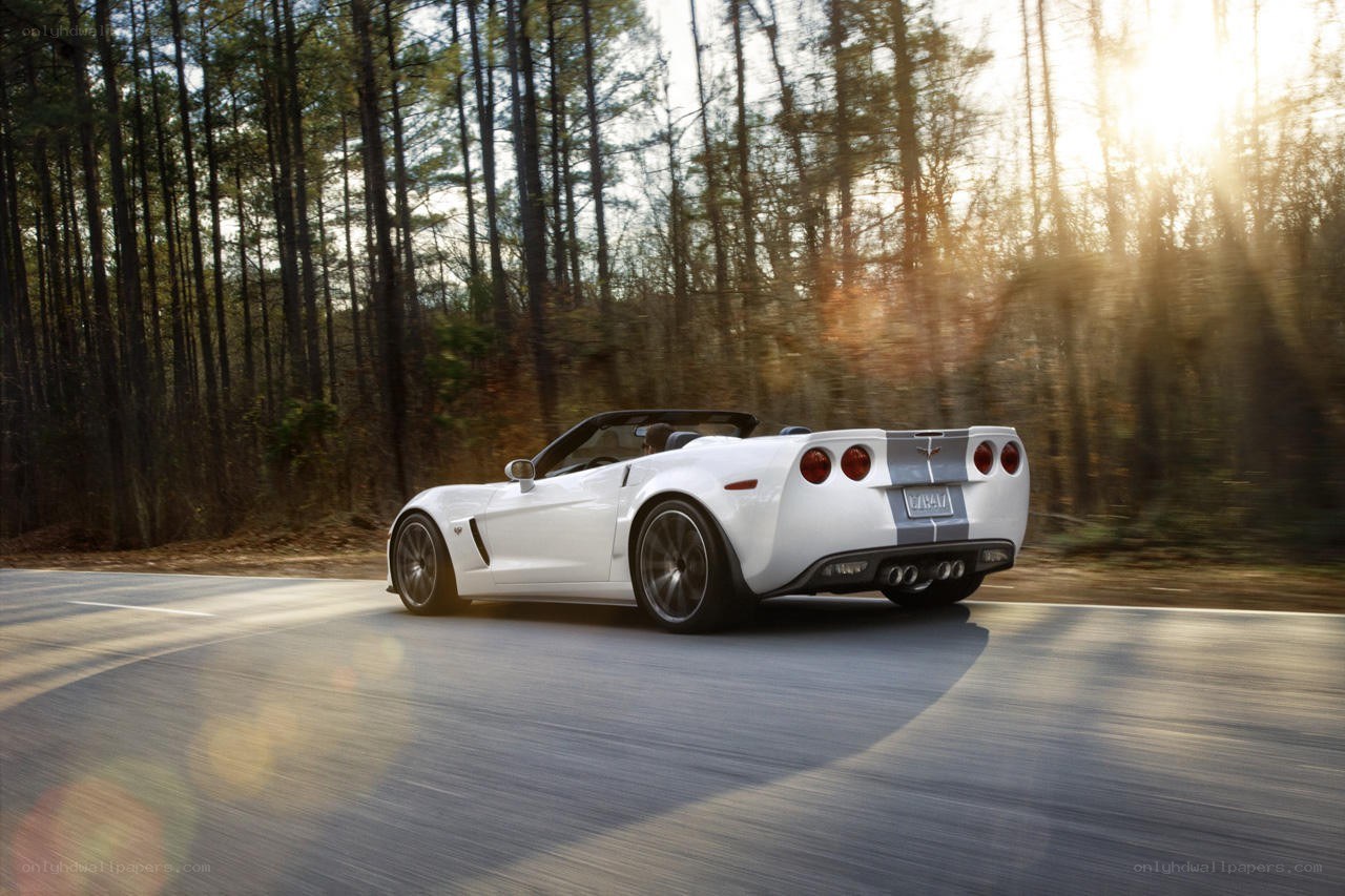 White Corvette convertible on forest road