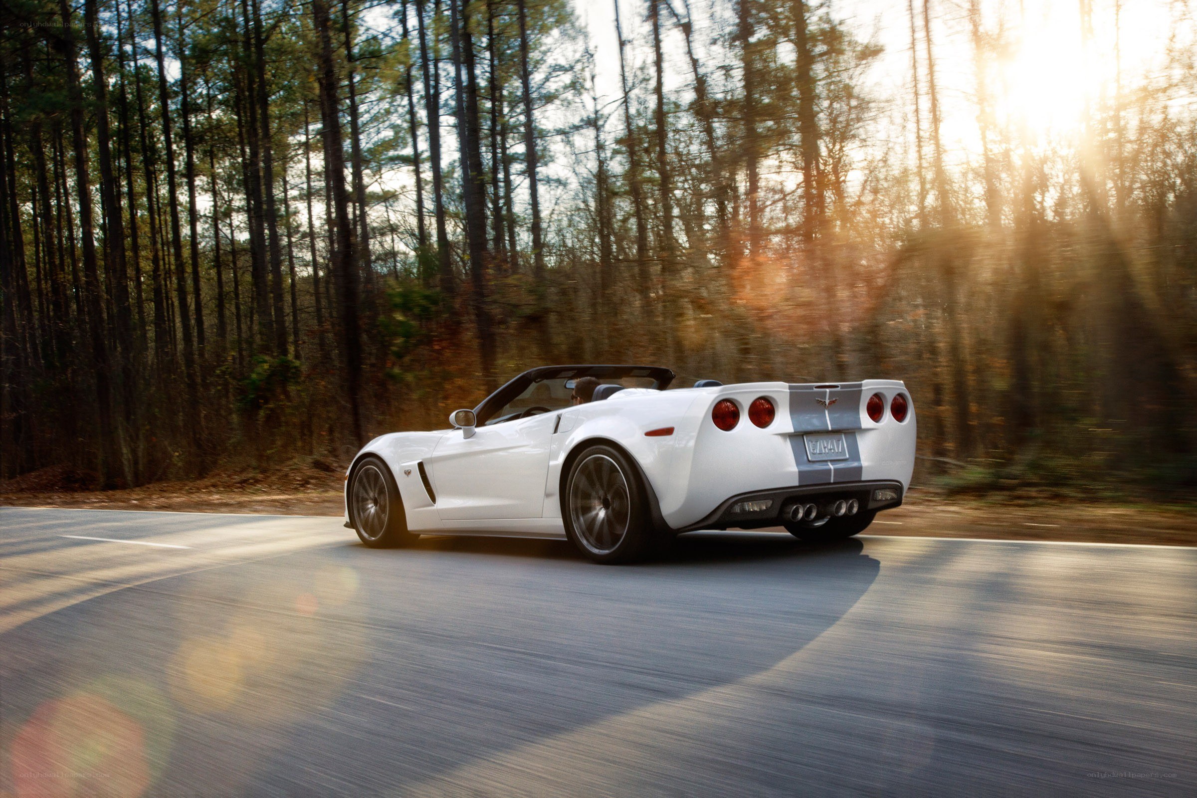 White Corvette convertible on forest road