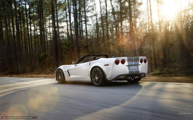 White Corvette convertible on forest road