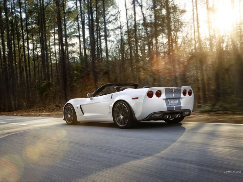 White Corvette driving on forest road