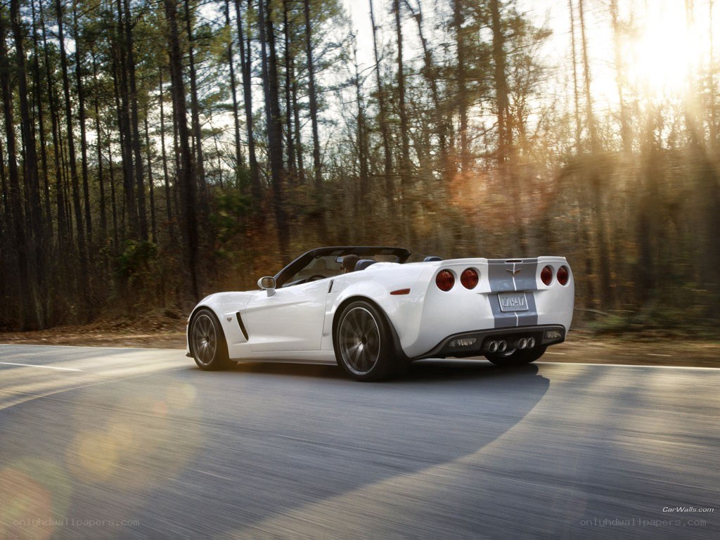 White Corvette driving on forest road