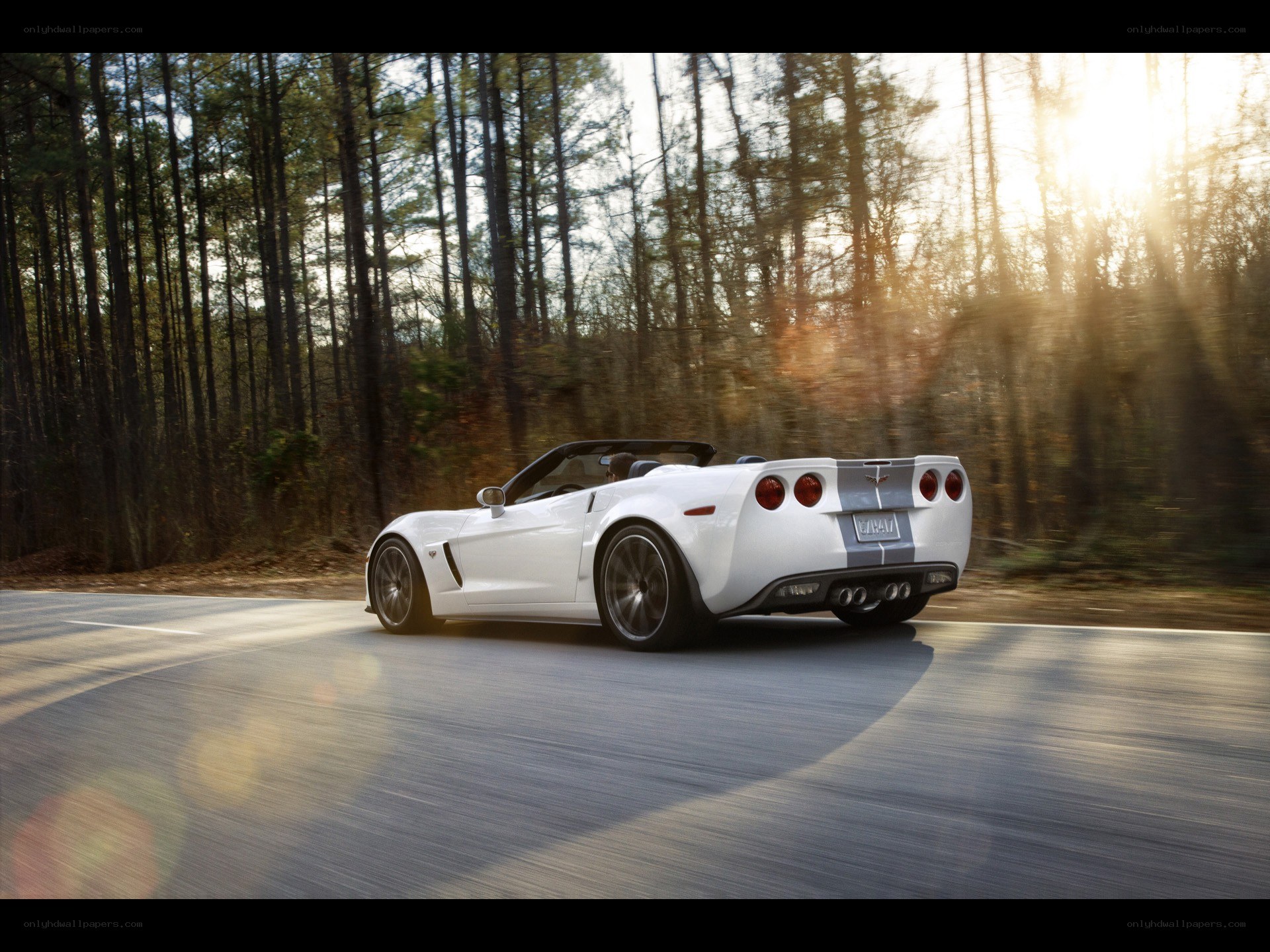 White Corvette driving on forest road