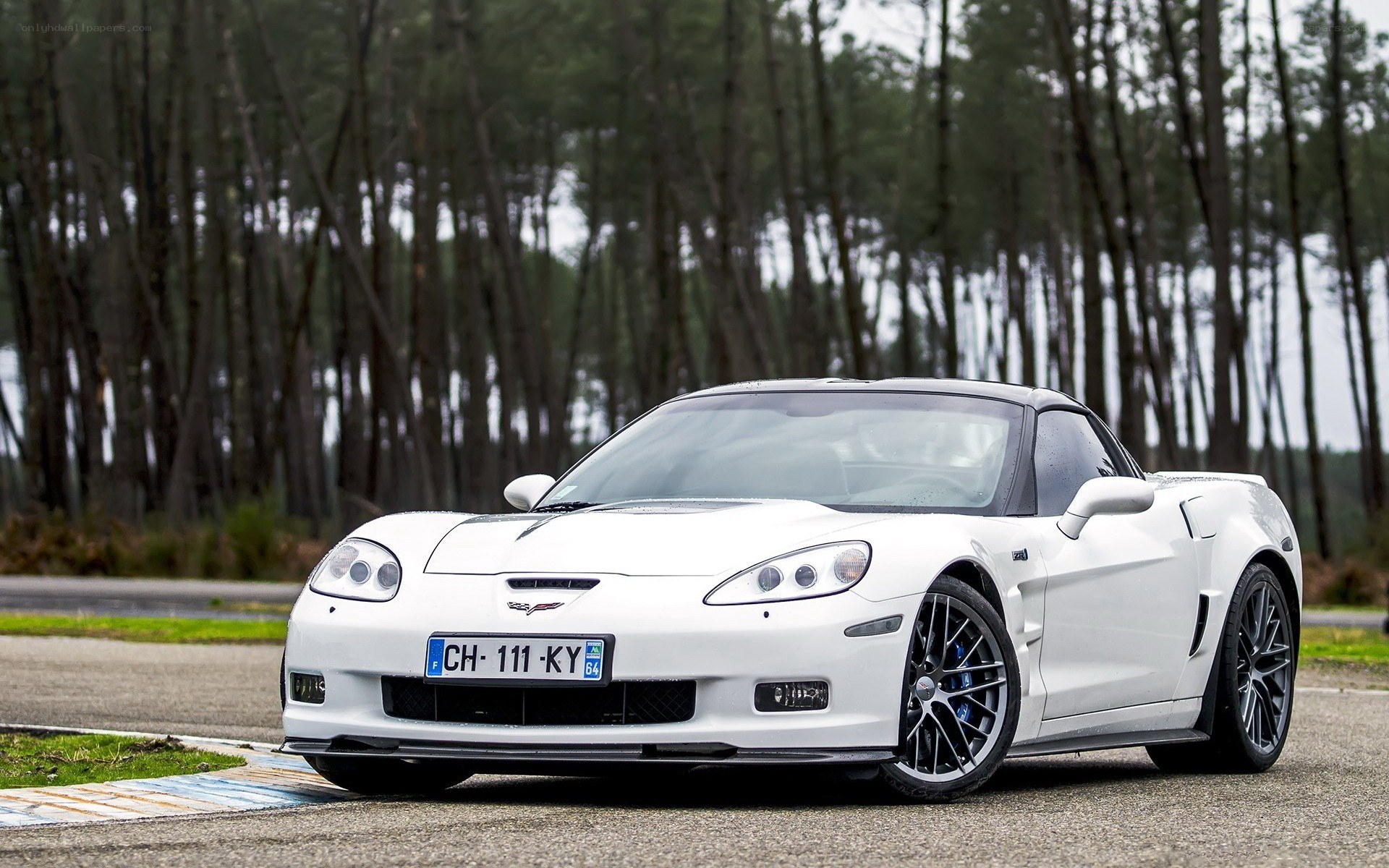 White Corvette on a racetrack