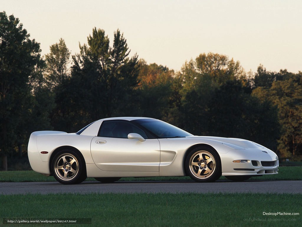 white corvette sports car