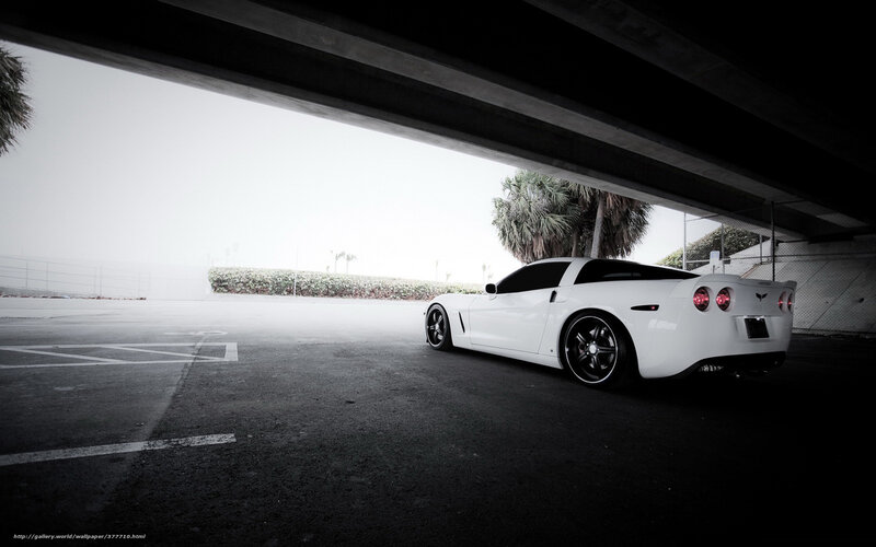 White Corvette under Bridge