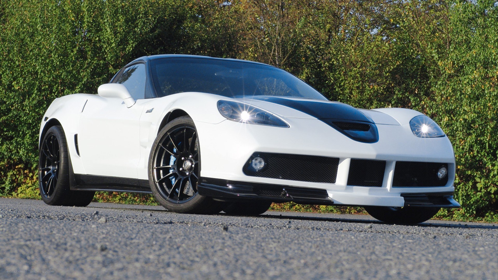 white corvette with black accents