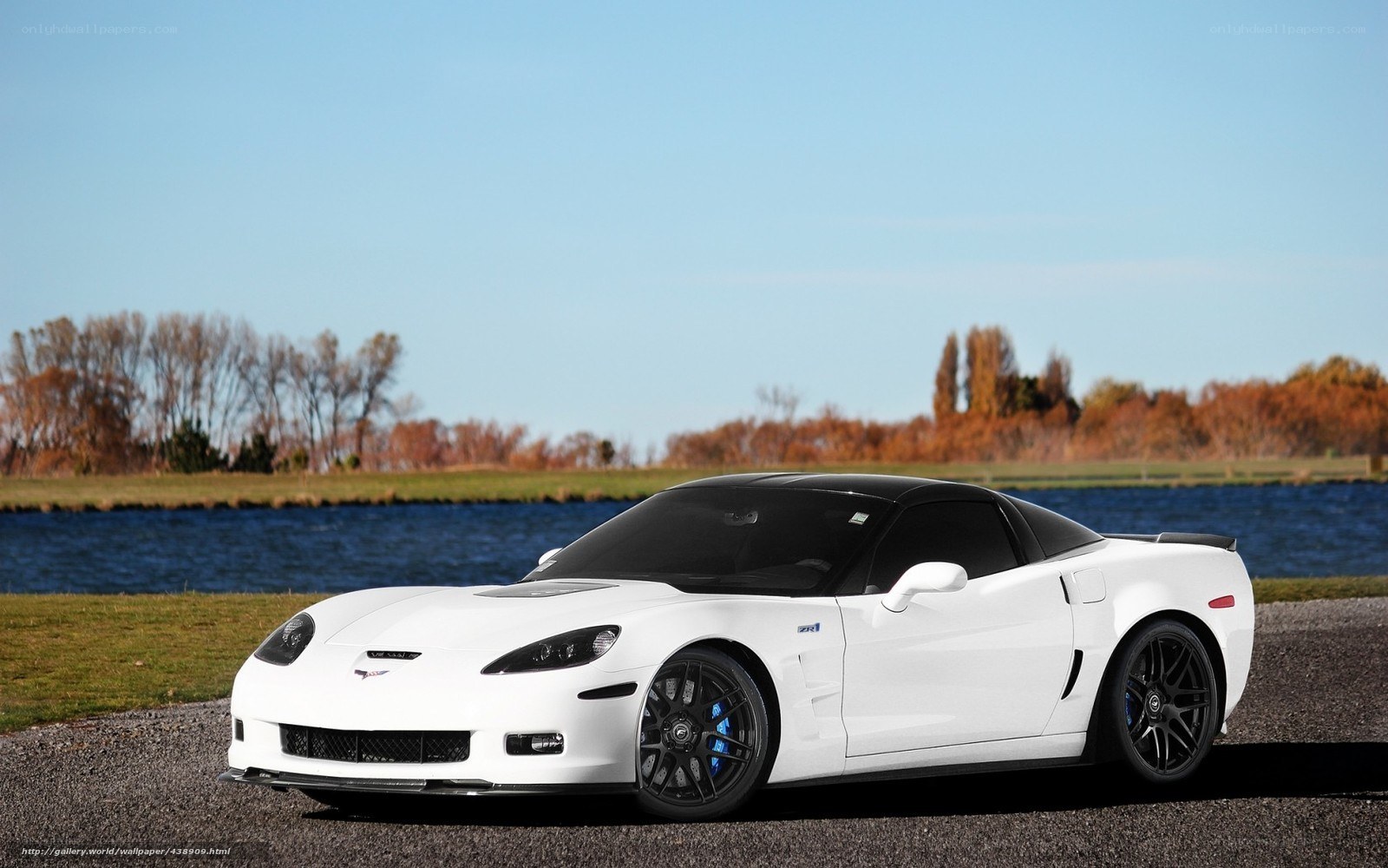 White Corvette ZR1 by a lake