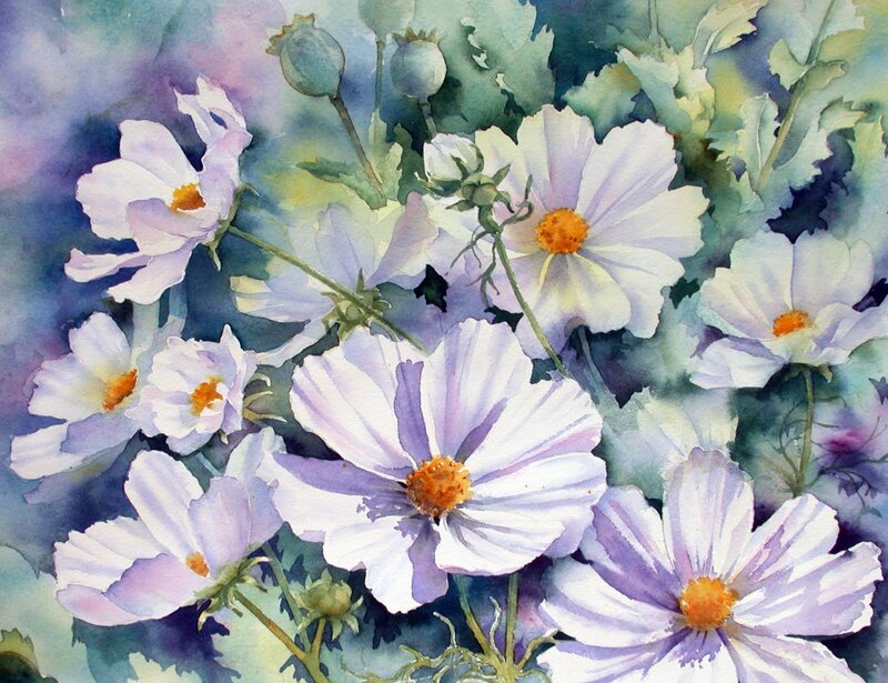 White Cosmos Flowers — Purple