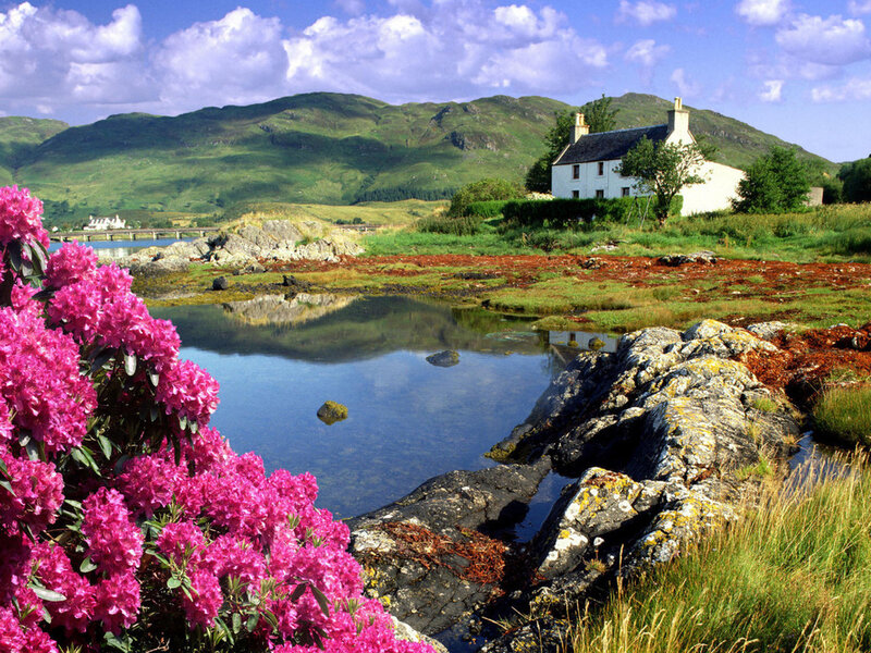 White Cottage by Lake — Green, Serene