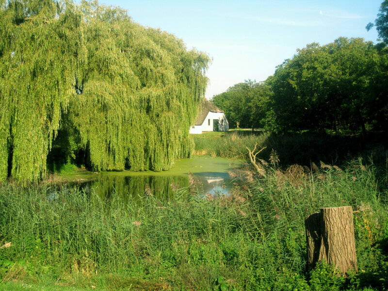 White Cottage by Pond — Green