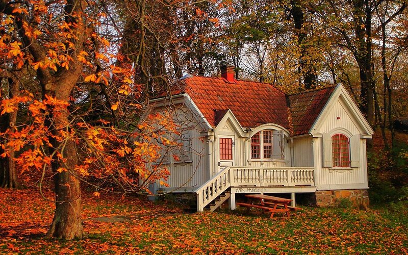 White Cottage in Autumn — Orange, Serene