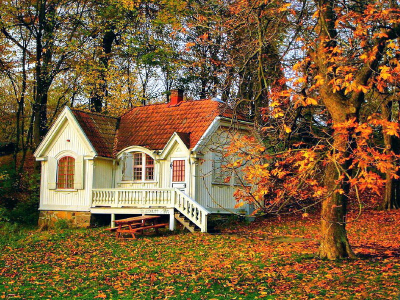 White Cottage in Autumn — Orange