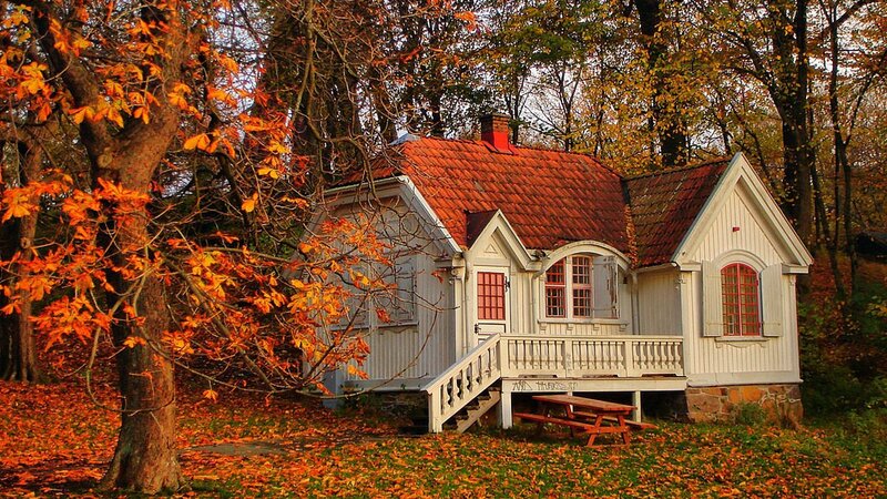 White Cottage in Forest