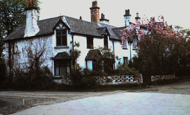 white cottage with blooming tree