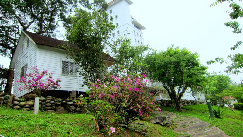 White Cottage with Flowers — Green