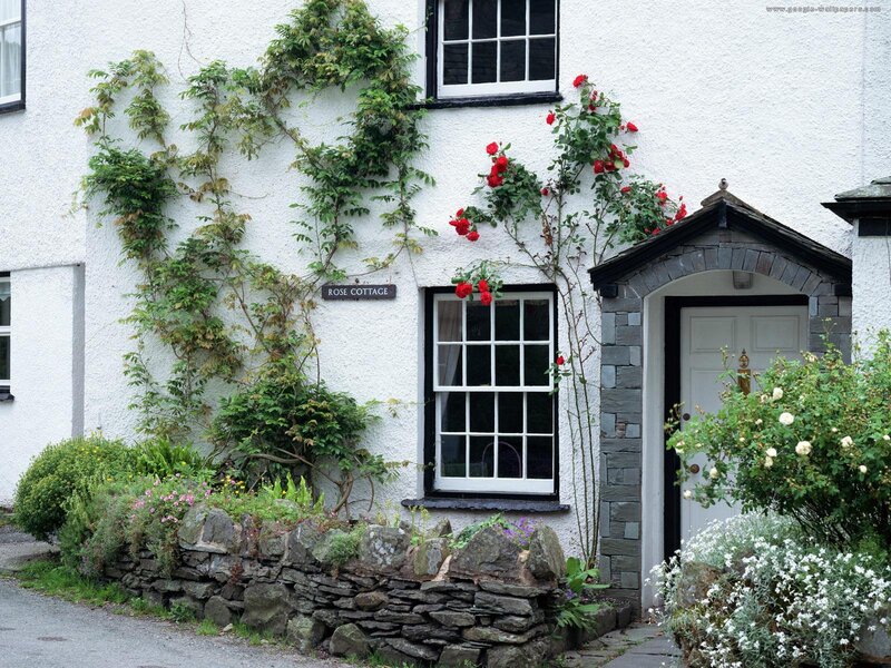 White Cottage with Roses