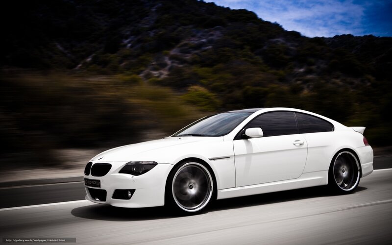 White Coupe Car — Dynamic, Afternoon