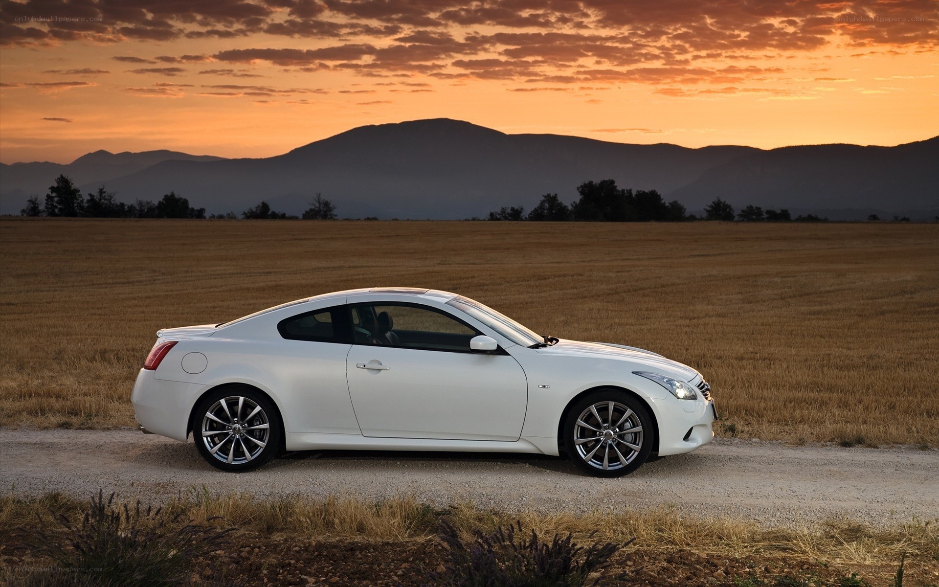 White coupe on a country road