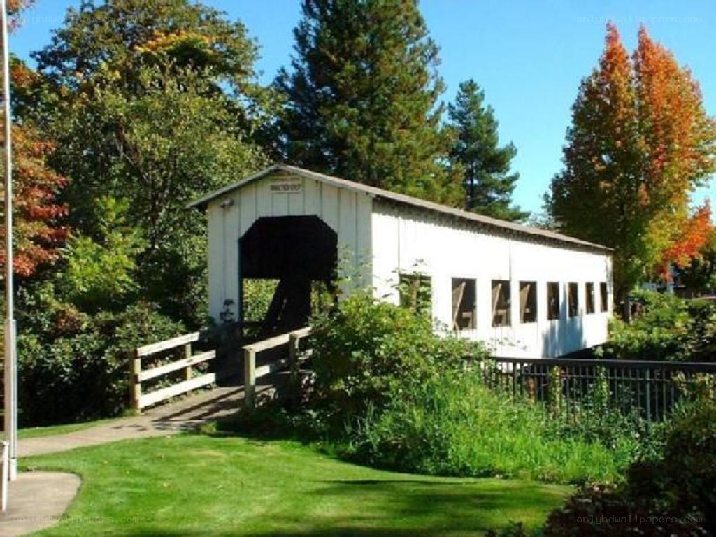 white covered bridge in park