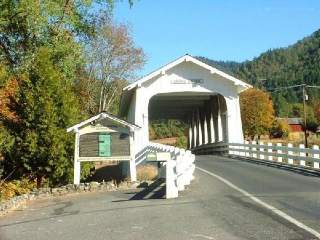 white covered bridge in rural area