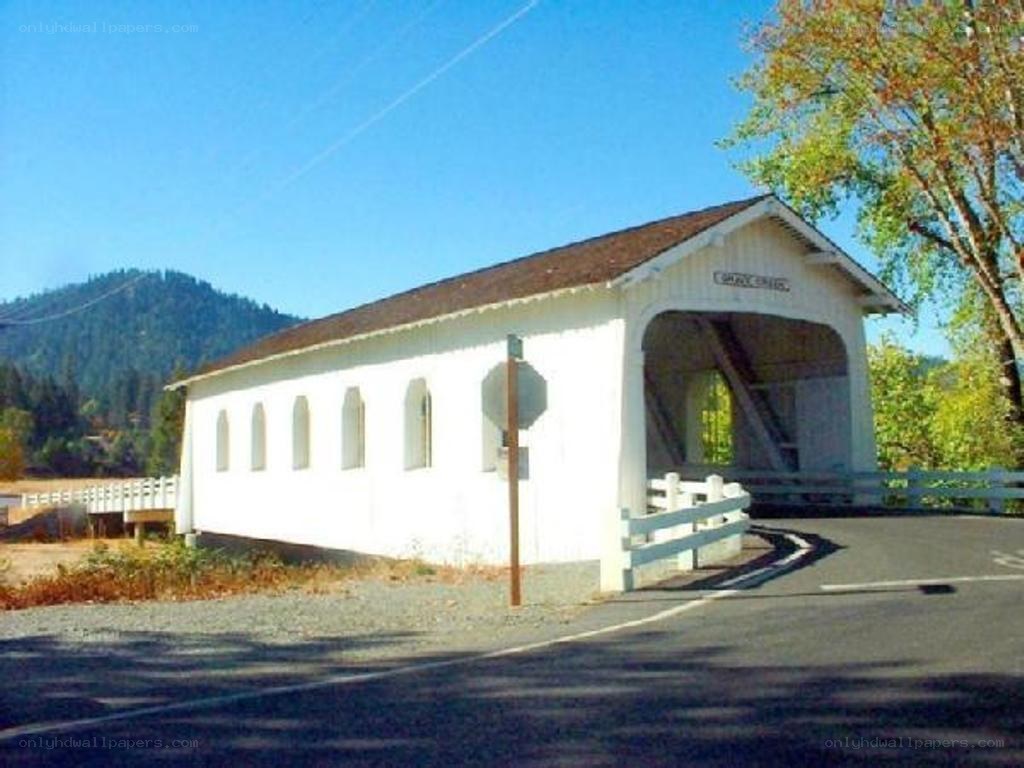white covered bridge in rural area