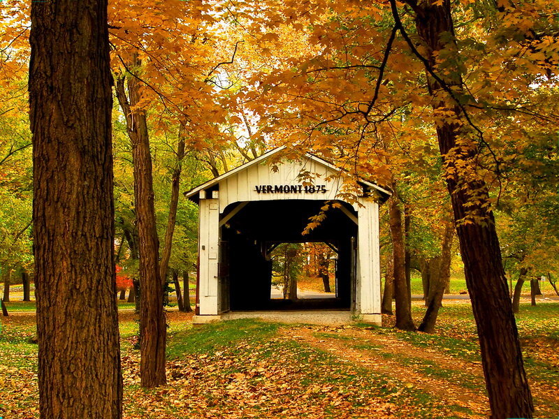 White Covered Bridge — Yellow