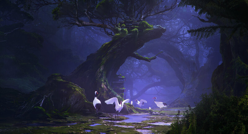 White Cranes in Forest