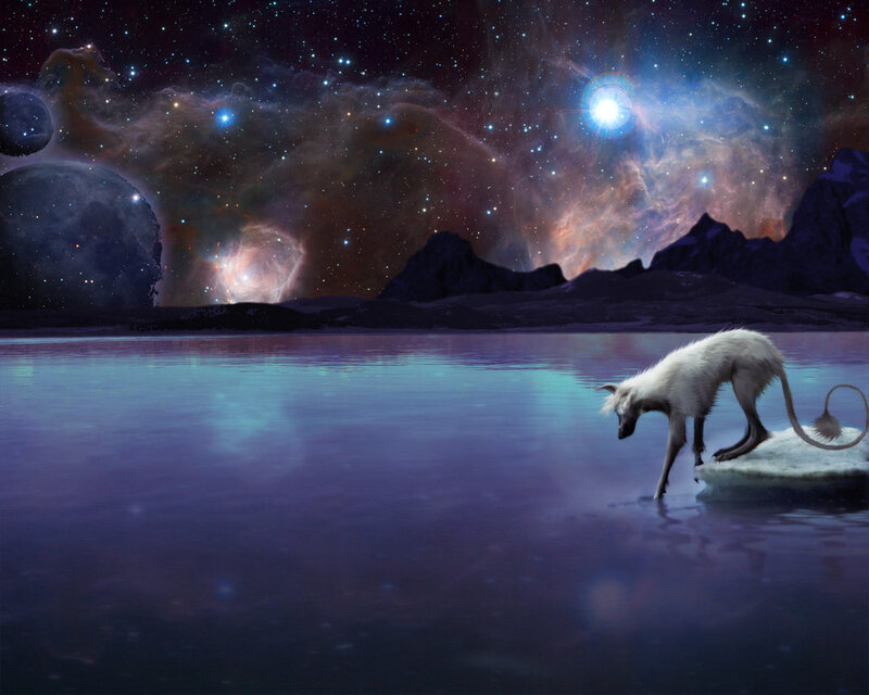 White Creature on Ice