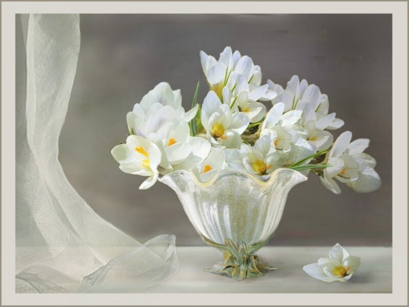 White Crocuses in Vase — Serene