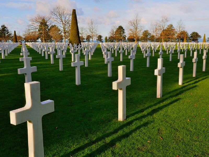 White Crosses in Cemetery — Green, Solemn