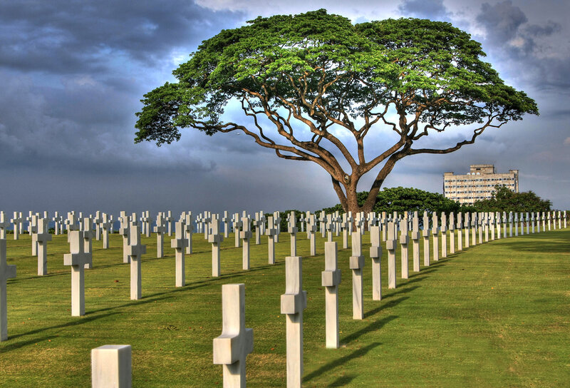 White Crosses in Cemetery