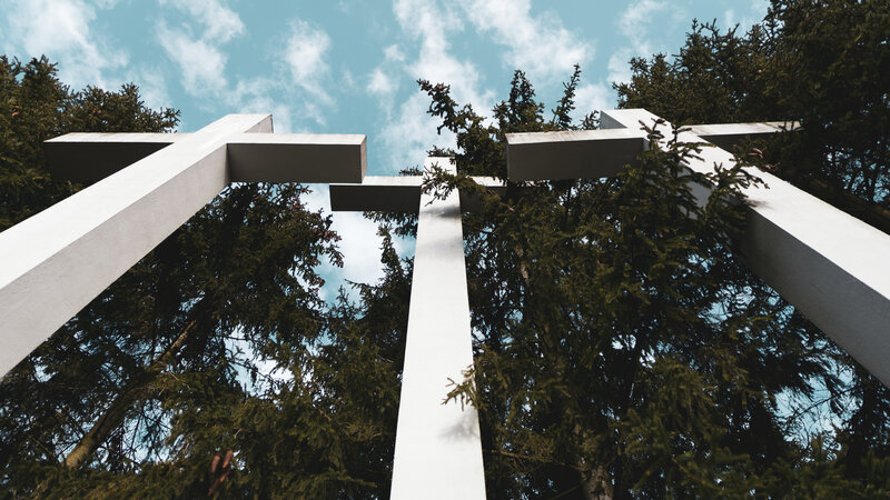 White Crosses in Forest