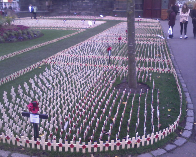 White Crosses on Grass