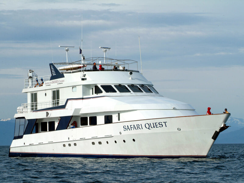 White Cruise Ship — Calm, Afternoon
