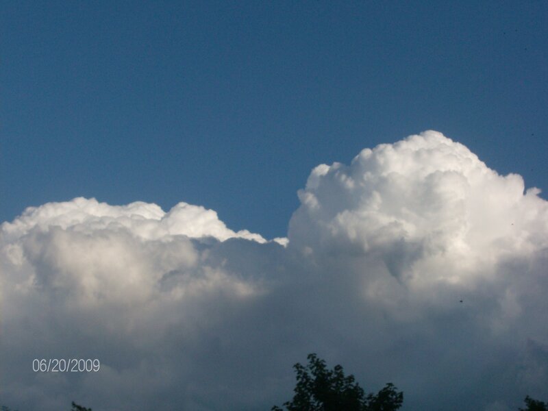 White Cumulus Clouds — Blue, Dramatic, Afternoon, Photograph, Sky, Trees