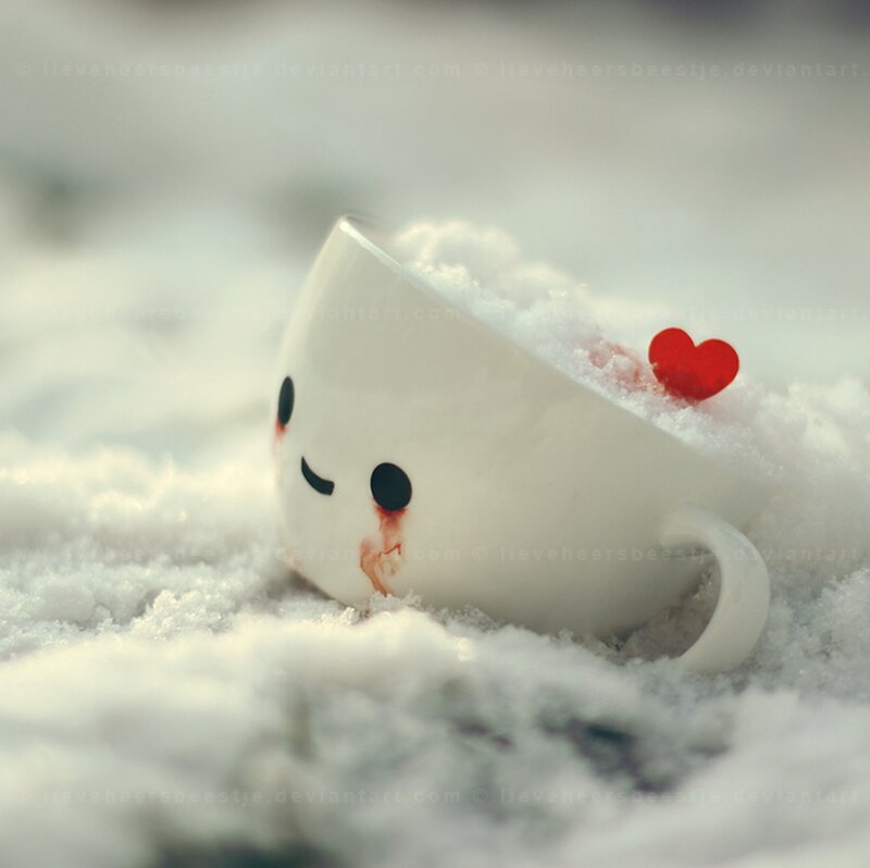 White Cup in Snow