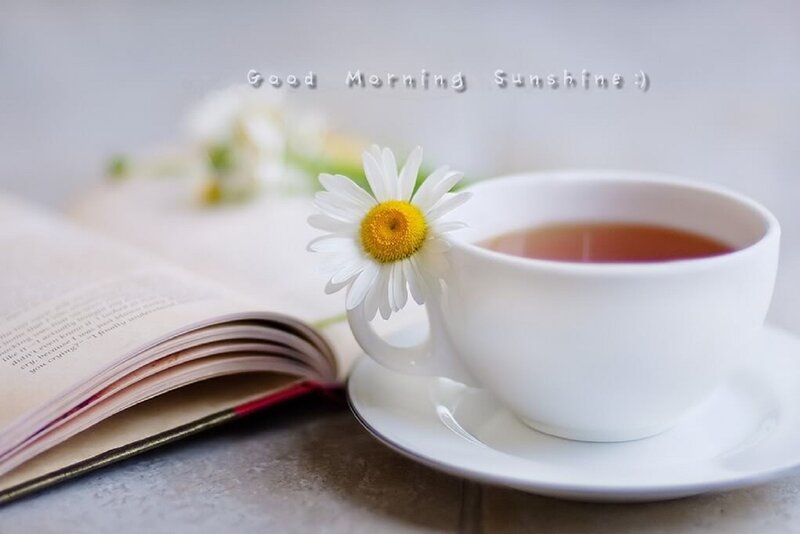 White Cup of Tea — Serene, Morning