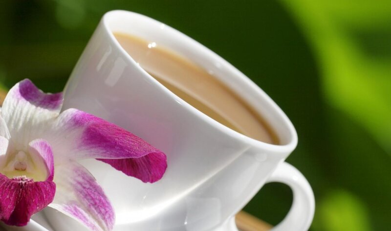 White Cup of Tea — Serene, Photograph