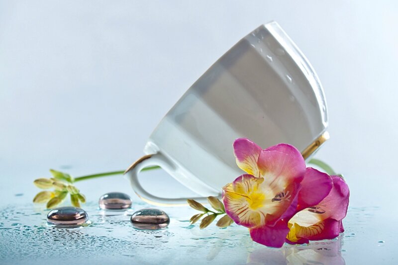White Cup with Flower — Serene, Photograph, Pebbles