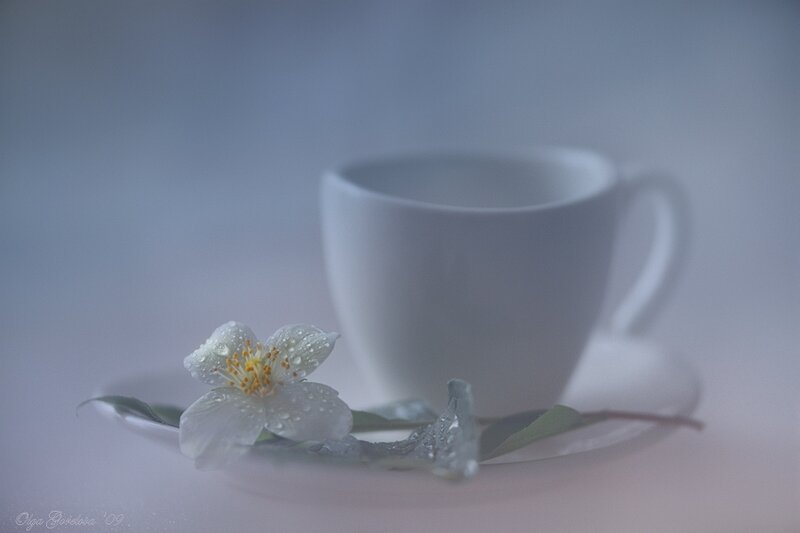 White cup with flower