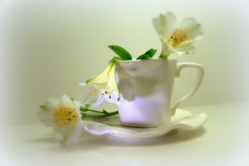 White Cup with Flowers — Serene, Photograph