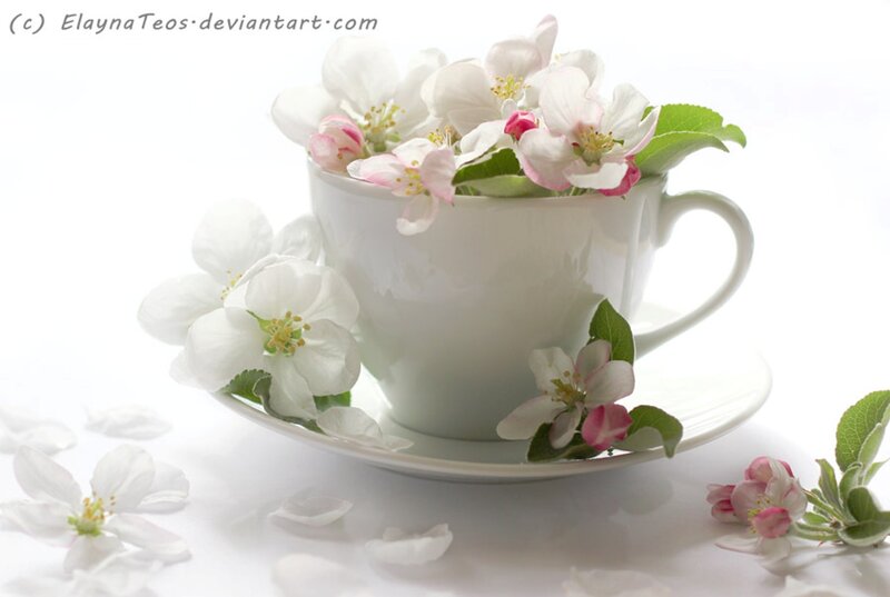 White Cup with Flowers — Serene
