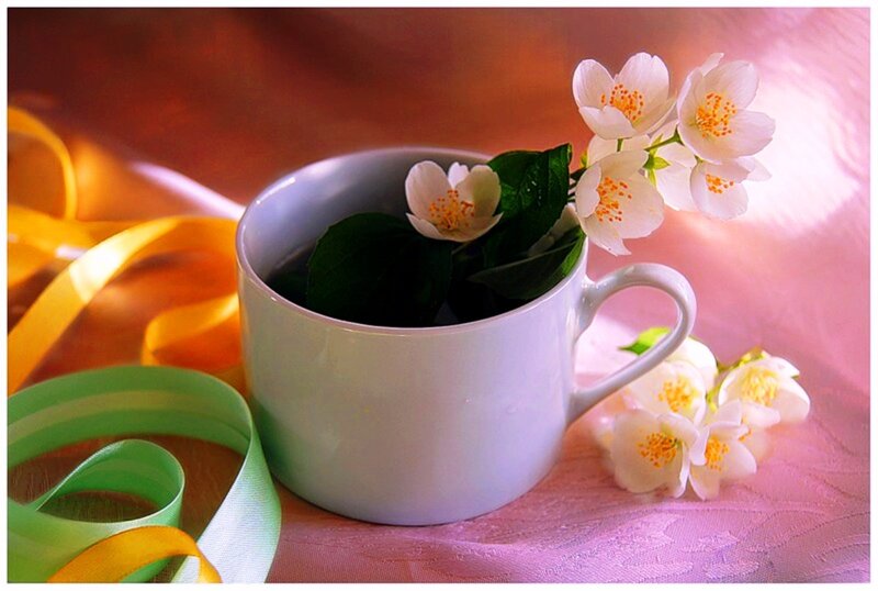 White Cup with Jasmine Flowers