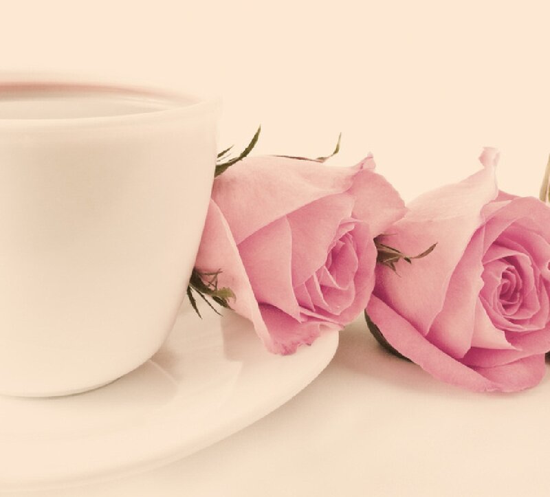 White Cup with Pink Roses — Serene